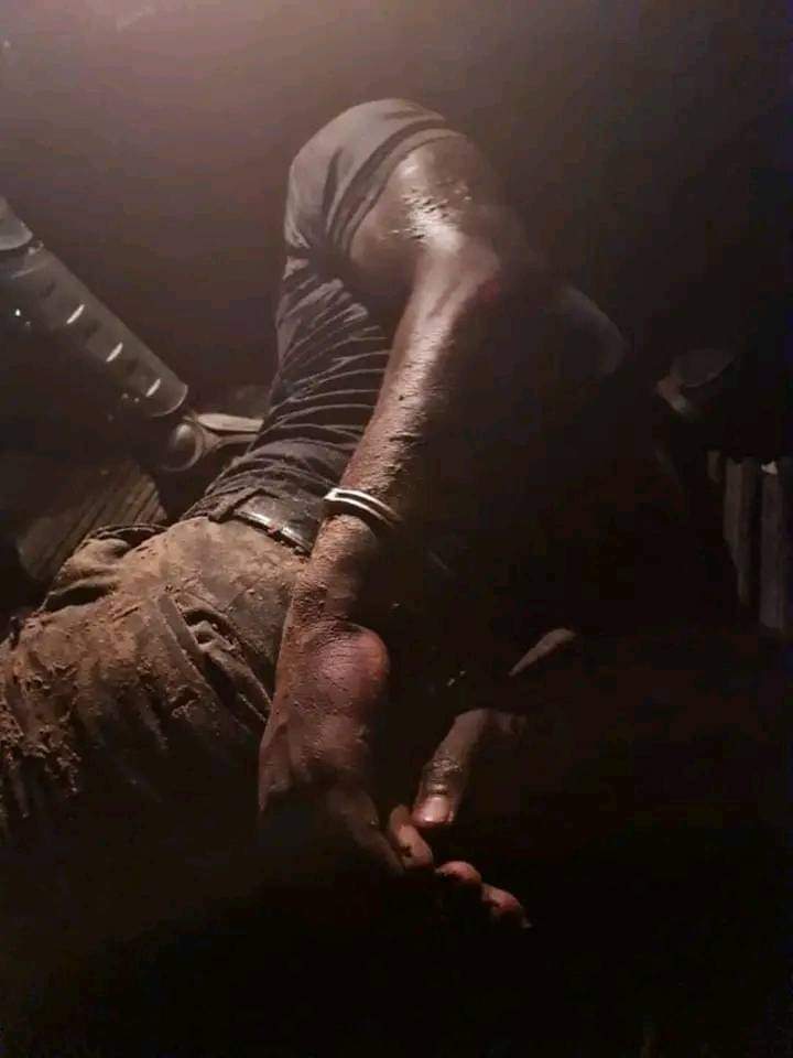 Bino image